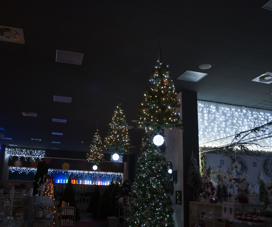 Albero Di Natale Con Fotografie Appese.Luci Di Natale Turate L Emporio